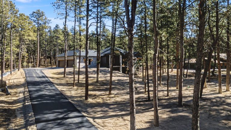 18165 Woodhaven Drive Colorado Springs-27