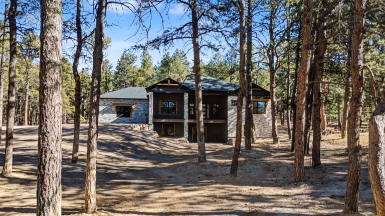 18165 Woodhaven Drive Colorado Springs-28