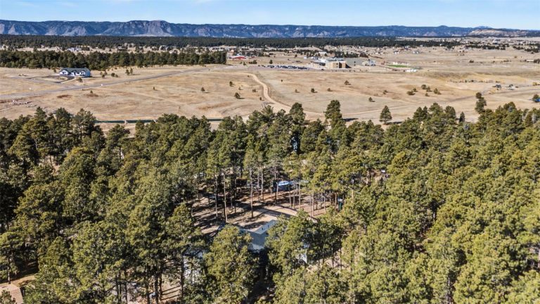 18165 Woodhaven Drive Colorado Springs-31