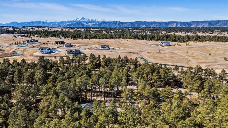 18165 Woodhaven Drive Colorado Springs-32