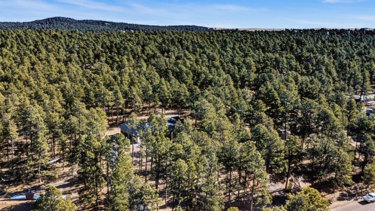 18165 Woodhaven Drive Colorado Springs-33