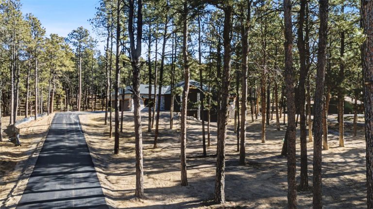 18165 Woodhaven Drive Colorado Springs-34