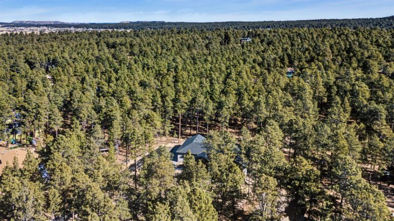 18165 Woodhaven Drive Colorado Springs-35