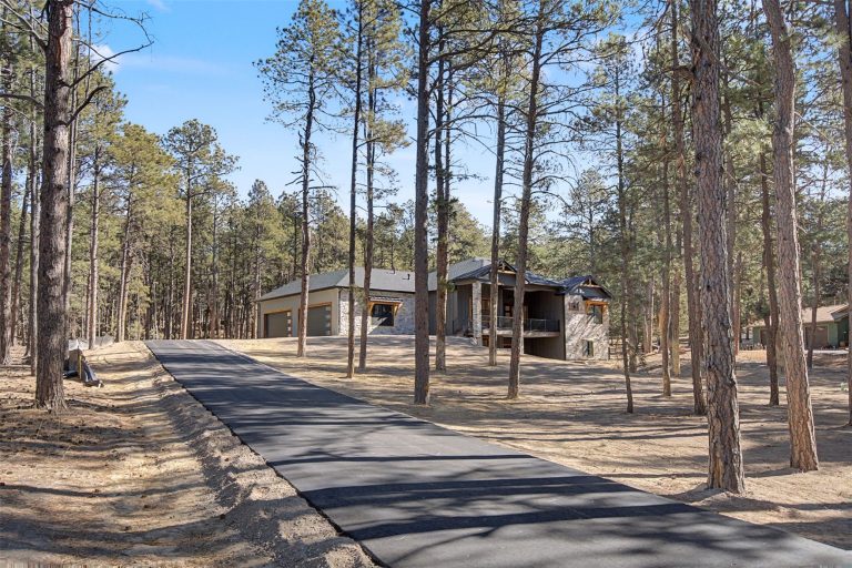18165 Woodhaven Drive Colorado Springs-36