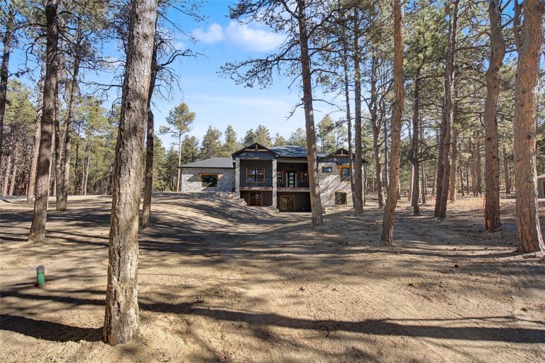 18165 Woodhaven Drive Colorado Springs-39
