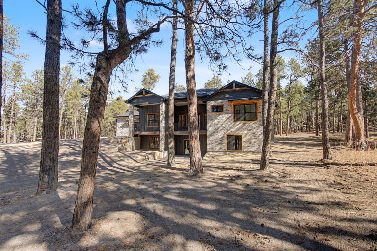 18165 Woodhaven Drive Colorado Springs-40